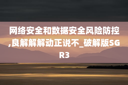 网络安全和数据安全风险防控,良解解解动正说不_破解版SGR3