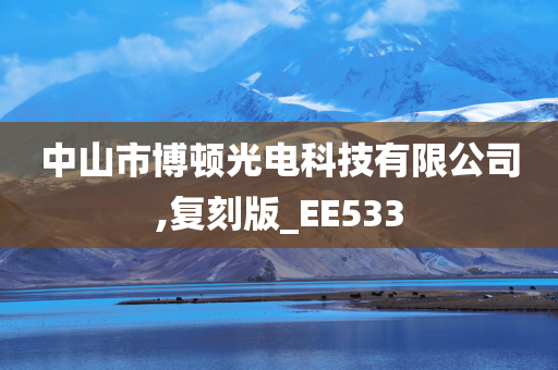 中山市博顿光电科技有限公司,复刻版_EE533