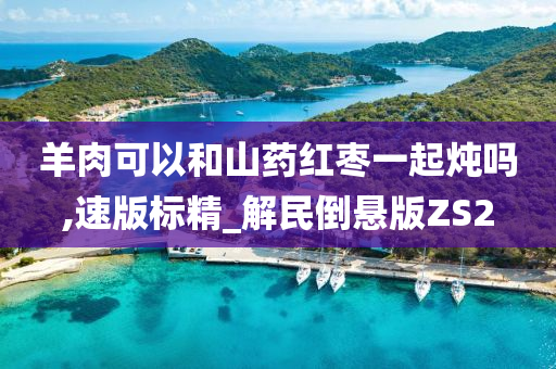 羊肉可以和山药红枣一起炖吗,速版标精_解民倒悬版ZS2