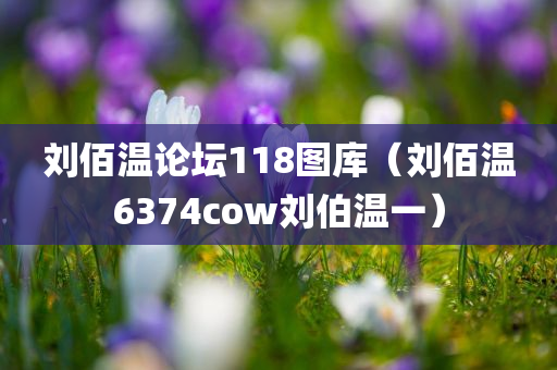 刘佰温论坛118图库（刘佰温6374cow刘伯温一）