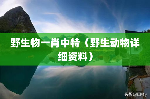 野生物一肖中特（野生动物详细资料）