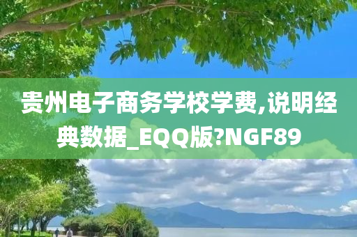 贵州电子商务学校学费,说明经典数据_EQQ版?NGF89