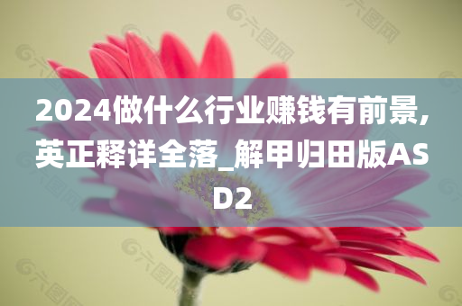 2024做什么行业赚钱有前景,英正释详全落_解甲归田版ASD2