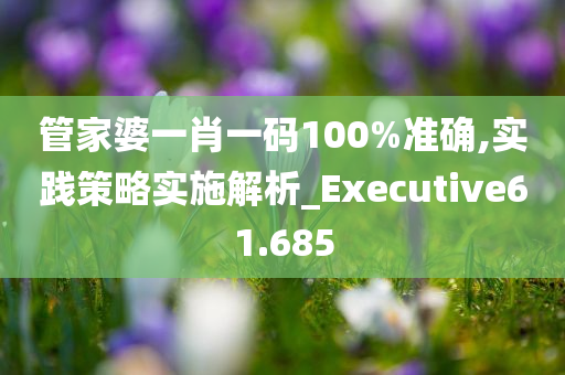 管家婆一肖一码100%准确,实践策略实施解析_Executive61.685