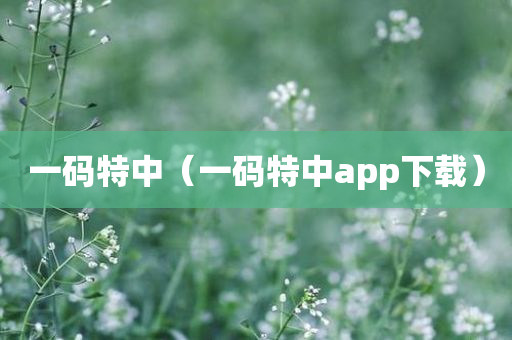 一码特中（一码特中app下载）