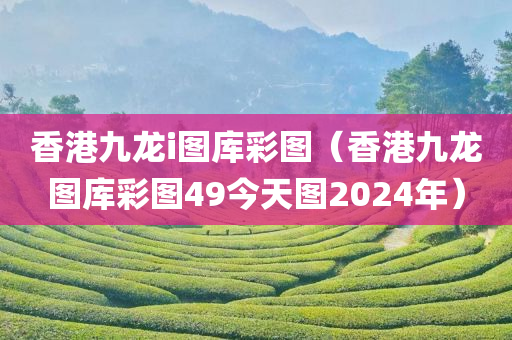 香港九龙i图库彩图（香港九龙图库彩图49今天图2024年）