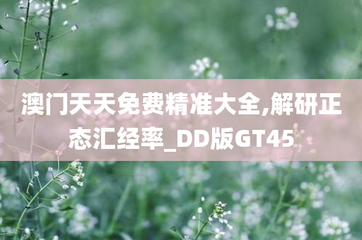 澳门天天免费精准大全,解研正态汇经率_DD版GT45