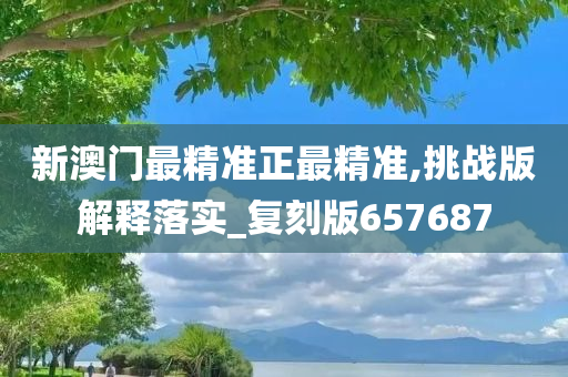 新澳门最精准正最精准,挑战版解释落实_复刻版657687