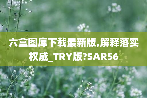 六盒图库下载最新版,解释落实权威_TRY版?SAR56