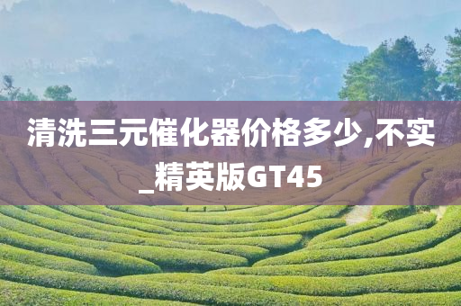 清洗三元催化器价格多少,不实_精英版GT45