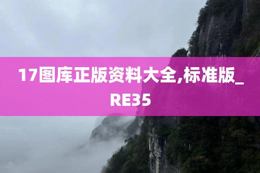 17图库正版资料大全,标准版_RE35