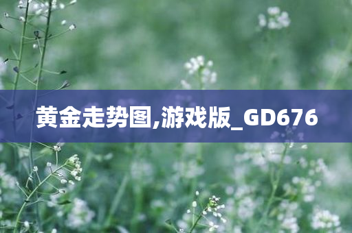 黄金走势图,游戏版_GD676