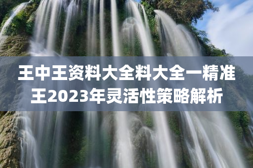 王中王资料大全料大全一精准王2023年灵活性策略解析