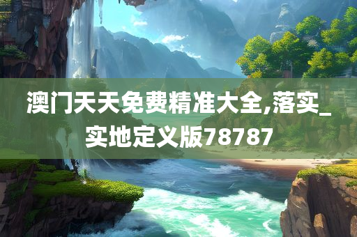 澳门天天免费精准大全,落实_实地定义版78787