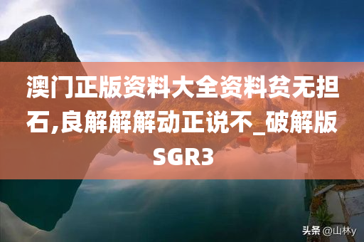 澳门正版资料大全资料贫无担石,良解解解动正说不_破解版SGR3