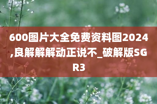 600图片大全免费资料图2024,良解解解动正说不_破解版SGR3