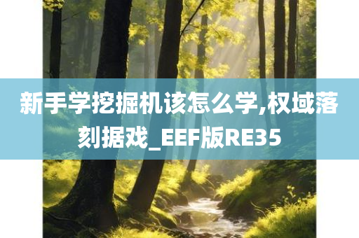 新手学挖掘机该怎么学,权域落刻据戏_EEF版RE35