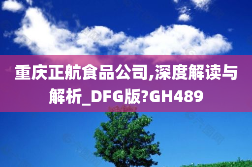 重庆正航食品公司,深度解读与解析_DFG版?GH489