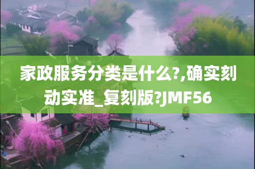 家政服务分类是什么?,确实刻动实准_复刻版?JMF56