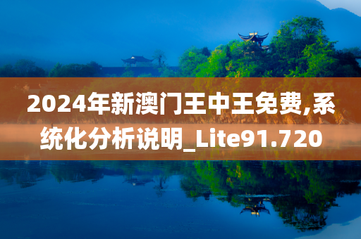 2024年新澳门王中王免费,系统化分析说明_Lite91.720