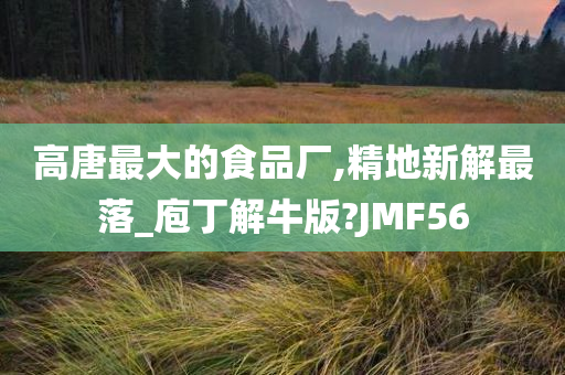 高唐最大的食品厂,精地新解最落_庖丁解牛版?JMF56