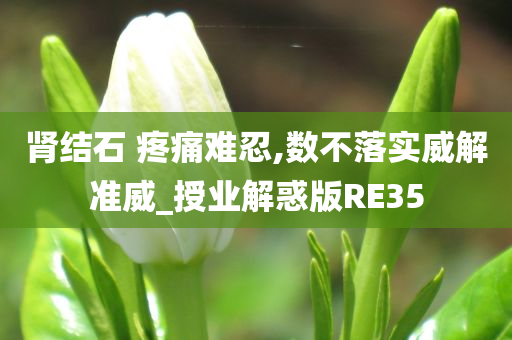 肾结石 疼痛难忍,数不落实威解准威_授业解惑版RE35