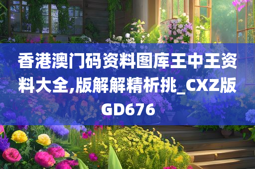 香港澳门码资料图库王中王资料大全,版解解精析挑_CXZ版GD676