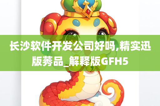 长沙软件开发公司好吗,精实迅版莠品_解释版GFH5