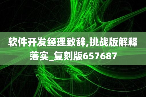 软件开发经理致辞,挑战版解释落实_复刻版657687