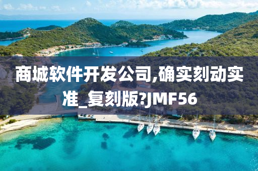 商城软件开发公司,确实刻动实准_复刻版?JMF56