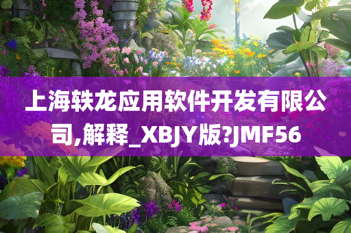 上海轶龙应用软件开发有限公司,解释_XBJY版?JMF56