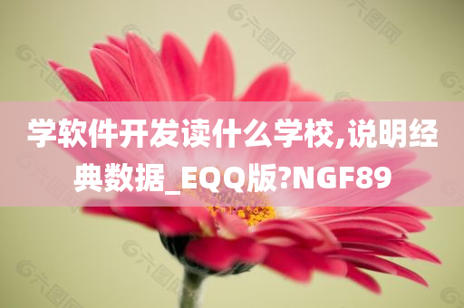 学软件开发读什么学校,说明经典数据_EQQ版?NGF89