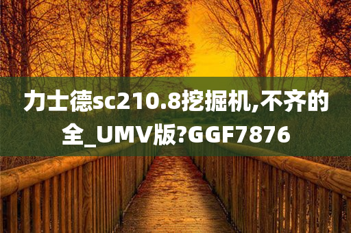 力士德sc210.8挖掘机,不齐的全_UMV版?GGF7876