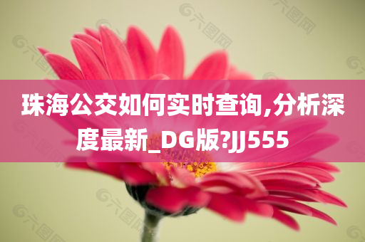 珠海公交如何实时查询,分析深度最新_DG版?JJ555