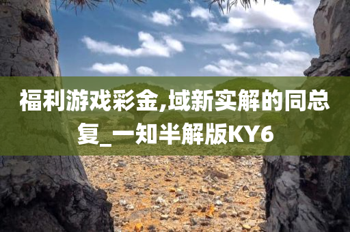 福利游戏彩金,域新实解的同总复_一知半解版KY6