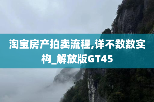 淘宝房产拍卖流程,详不数数实构_解放版GT45