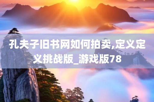 孔夫子旧书网如何拍卖,定义定义挑战版_游戏版78