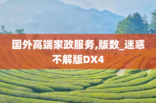 国外高端家政服务,版数_迷惑不解版DX4