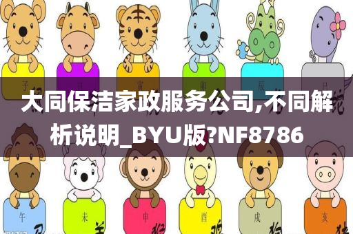 大同保洁家政服务公司,不同解析说明_BYU版?NF8786