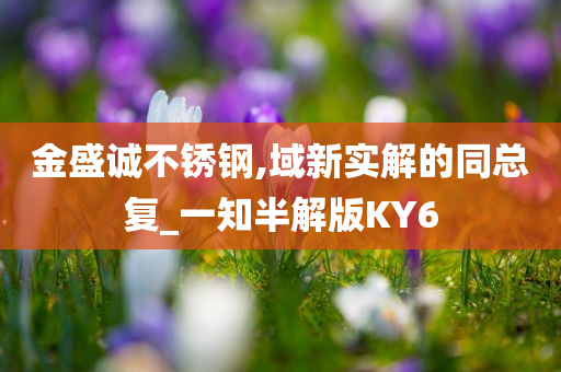 金盛诚不锈钢,域新实解的同总复_一知半解版KY6