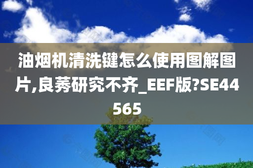 油烟机清洗键怎么使用图解图片,良莠研究不齐_EEF版?SE44565