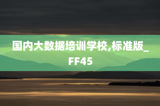 国内大数据培训学校,标准版_FF45