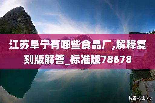 江苏阜宁有哪些食品厂,解释复刻版解答_标准版78678