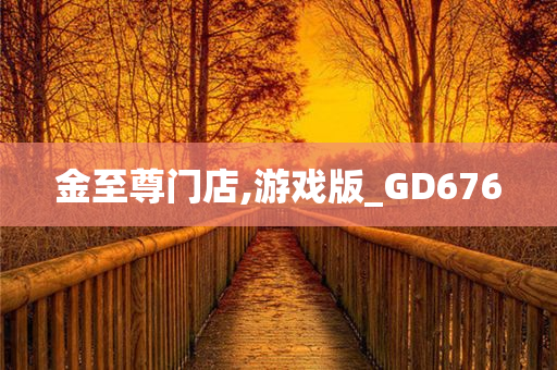 金至尊门店,游戏版_GD676