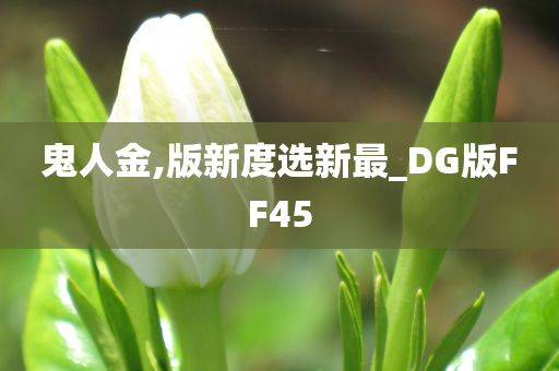 鬼人金,版新度选新最_DG版FF45