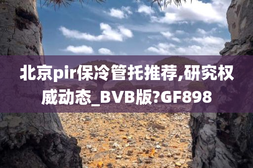 北京pir保冷管托推荐,研究权威动态_BVB版?GF898