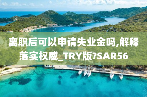 离职后可以申请失业金吗,解释落实权威_TRY版?SAR56