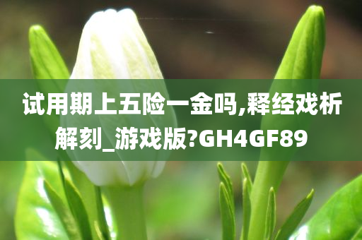 试用期上五险一金吗,释经戏析解刻_游戏版?GH4GF89