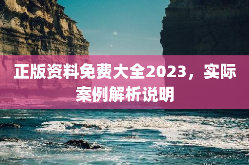 正版资料免费大全2023，实际案例解析说明