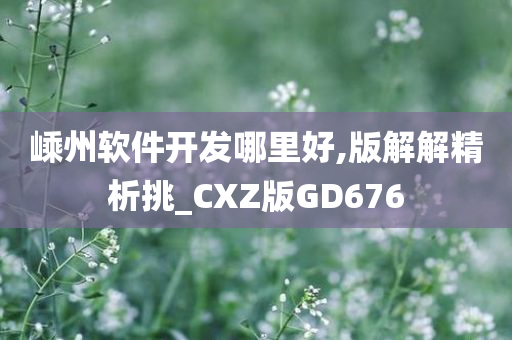 嵊州软件开发哪里好,版解解精析挑_CXZ版GD676